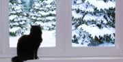 Готовим окна ПВХ к холодной зиме!